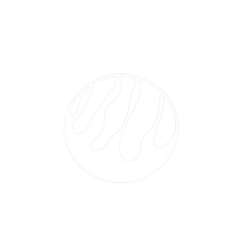 Planetic logo